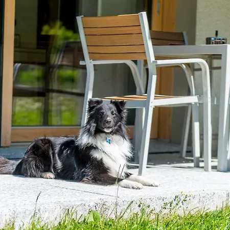 Montela & - 4* Saas-Grund