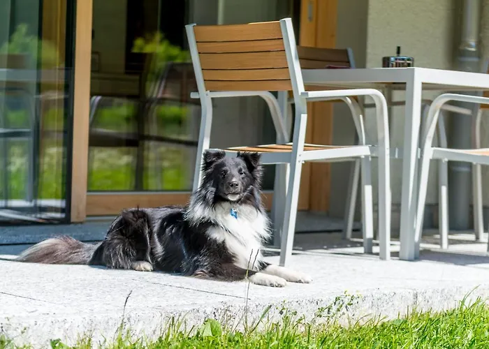 Montela & - 4* Saas-Grund