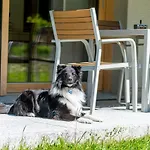 Montela & - 4* Saas-Grund